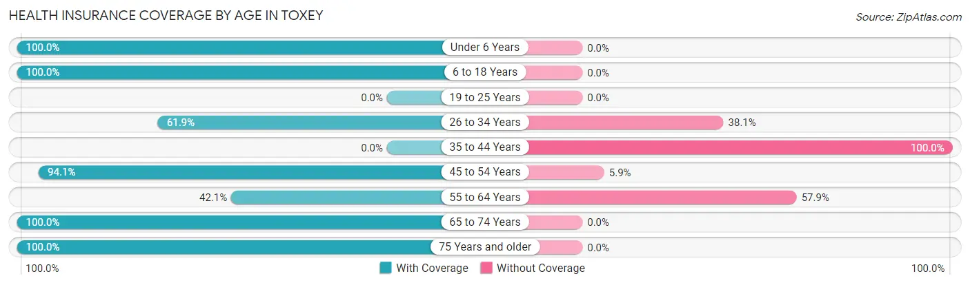 Health Insurance Coverage by Age in Toxey