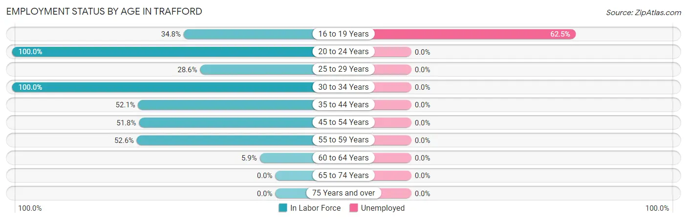 Employment Status by Age in Trafford