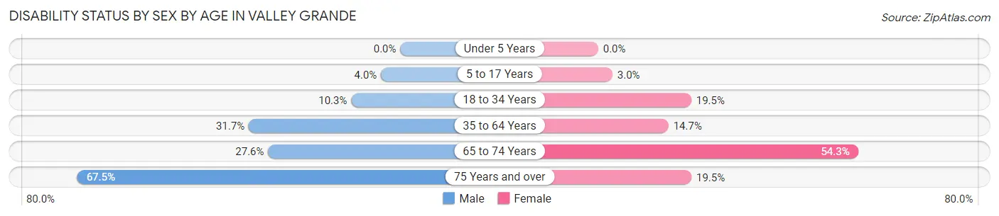 Disability Status by Sex by Age in Valley Grande