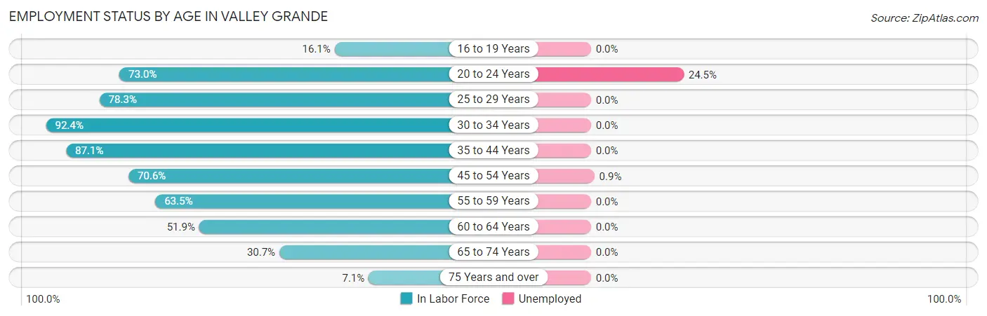 Employment Status by Age in Valley Grande