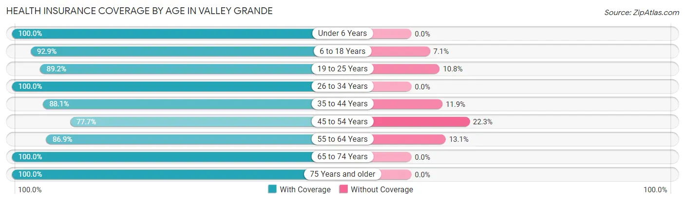 Health Insurance Coverage by Age in Valley Grande