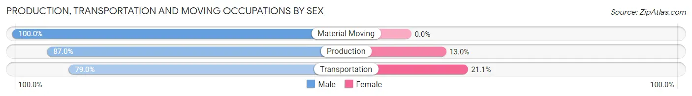 Production, Transportation and Moving Occupations by Sex in Valley Grande