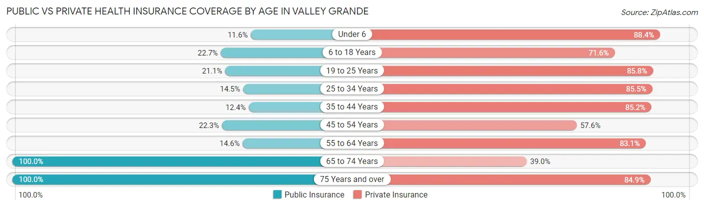 Public vs Private Health Insurance Coverage by Age in Valley Grande