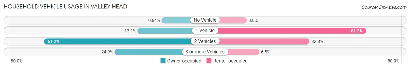 Household Vehicle Usage in Valley Head