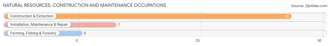 Natural Resources, Construction and Maintenance Occupations in Vandiver