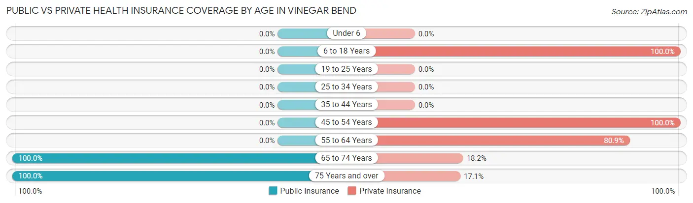 Public vs Private Health Insurance Coverage by Age in Vinegar Bend