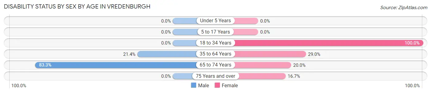 Disability Status by Sex by Age in Vredenburgh