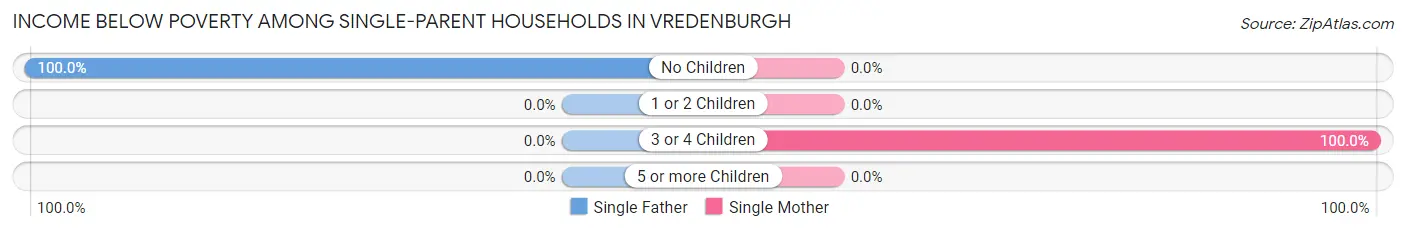 Income Below Poverty Among Single-Parent Households in Vredenburgh