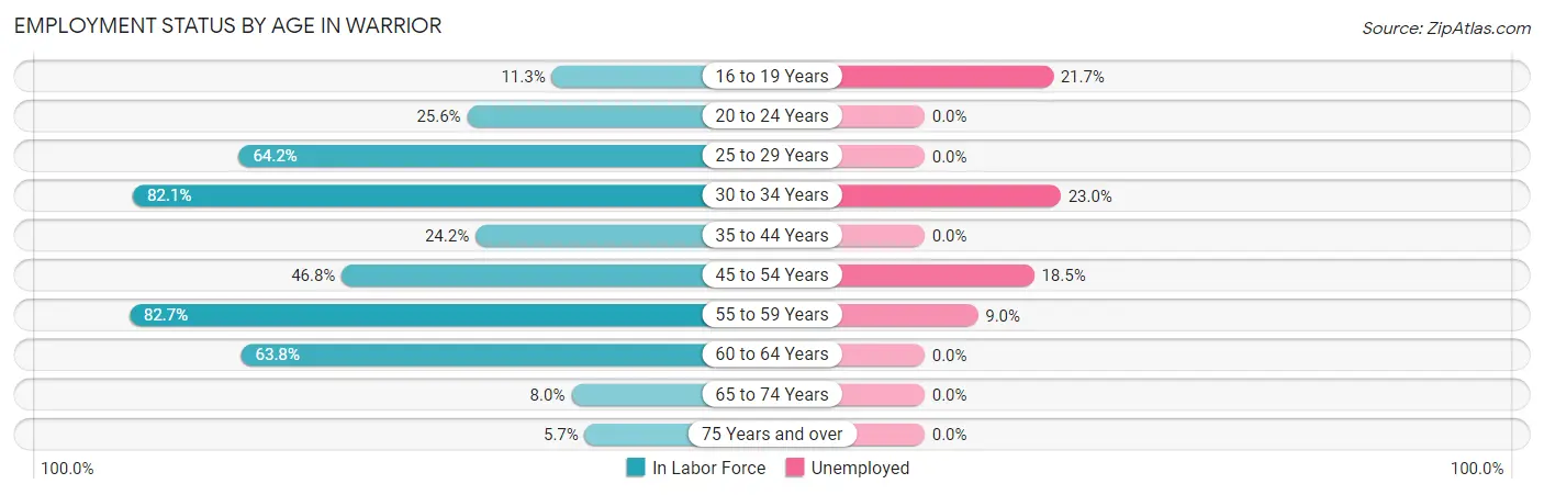 Employment Status by Age in Warrior