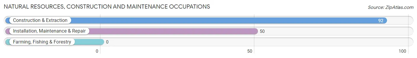 Natural Resources, Construction and Maintenance Occupations in Warrior