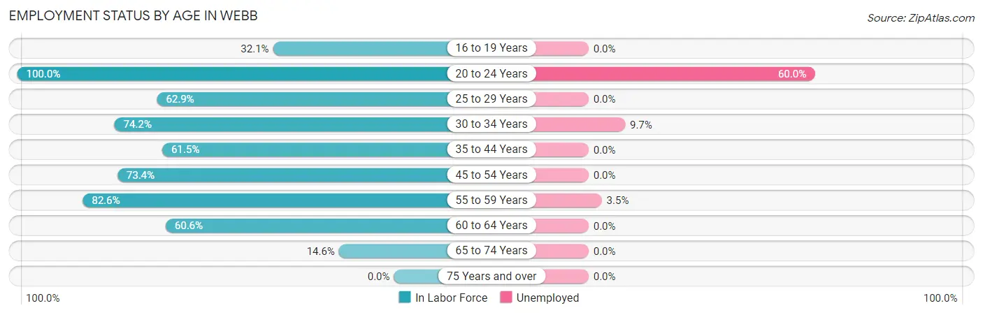 Employment Status by Age in Webb