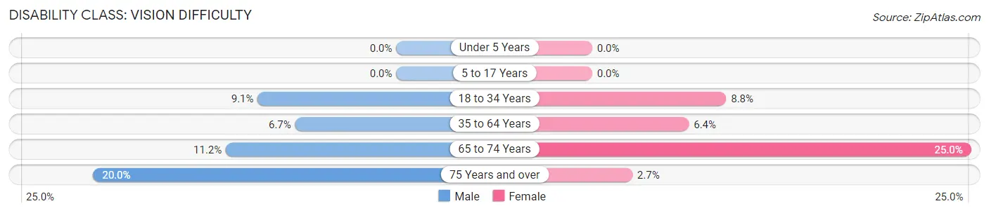 Disability in Webb: <span>Vision Difficulty</span>