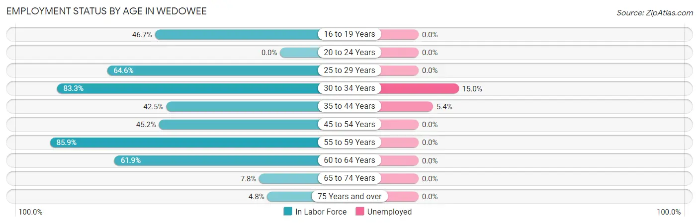Employment Status by Age in Wedowee