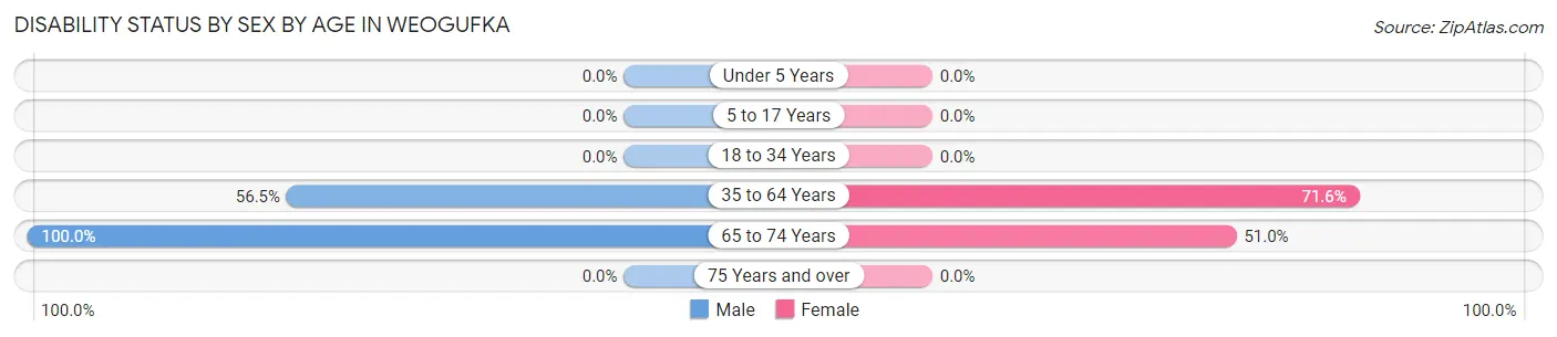 Disability Status by Sex by Age in Weogufka