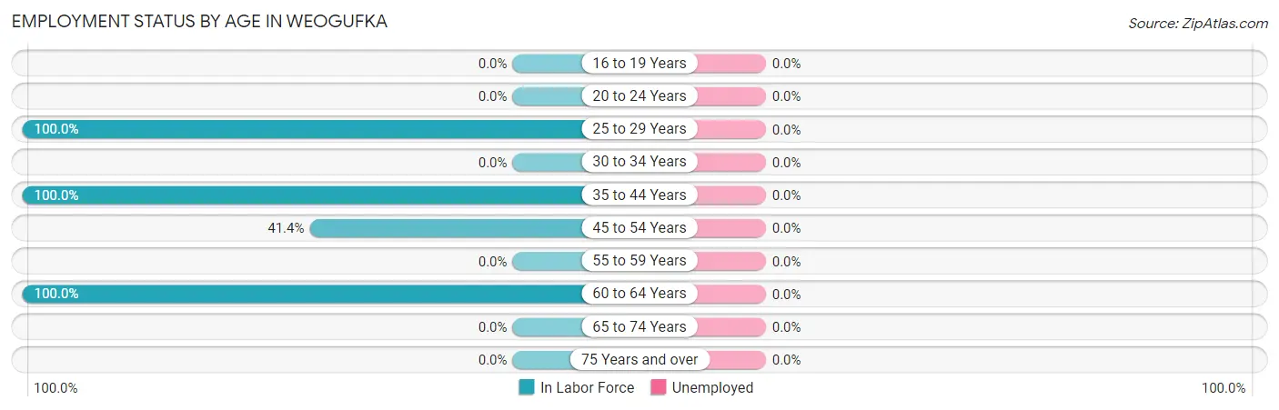 Employment Status by Age in Weogufka