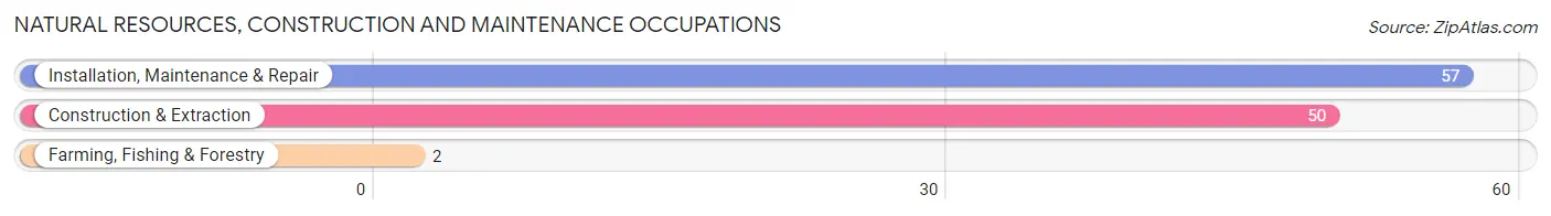 Natural Resources, Construction and Maintenance Occupations in Westover