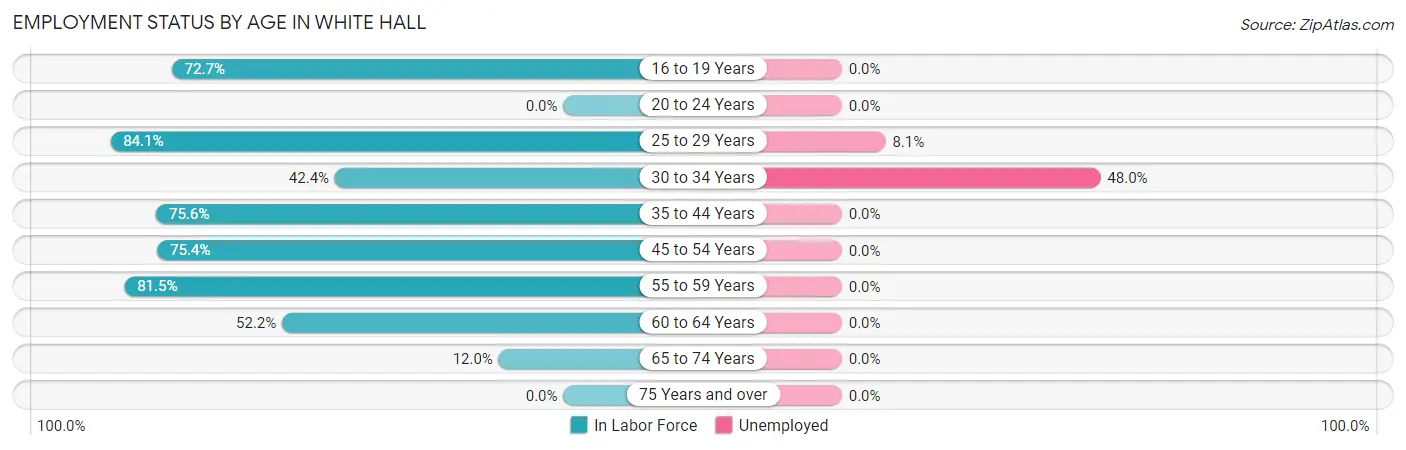 Employment Status by Age in White Hall