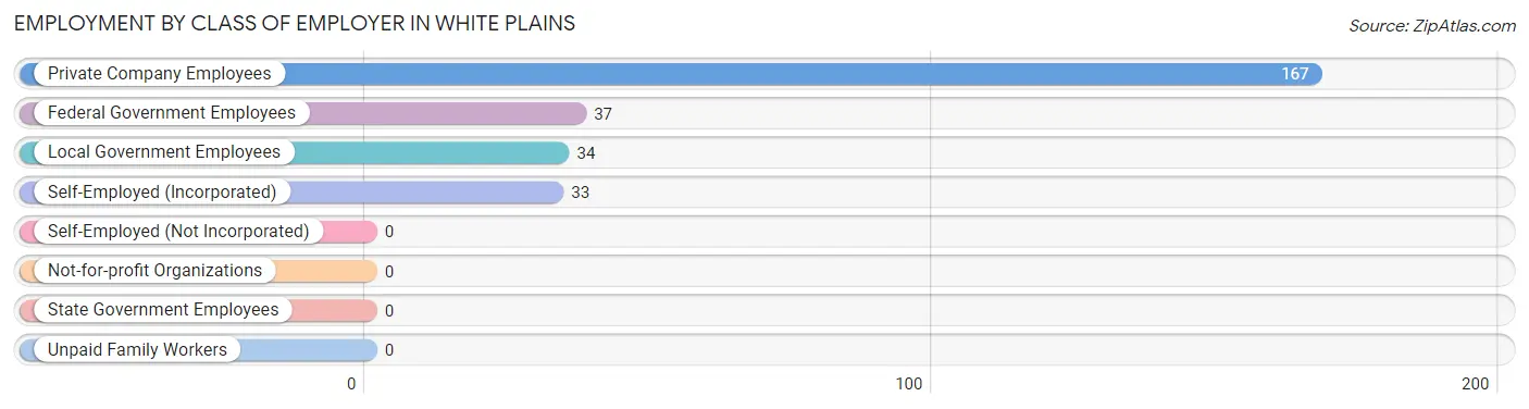 Employment by Class of Employer in White Plains