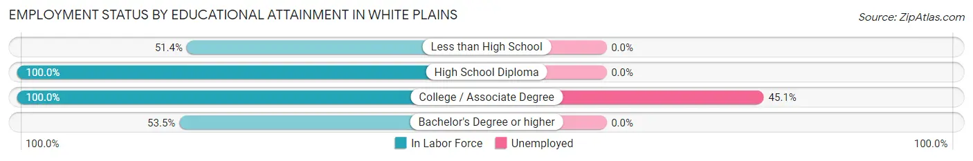 Employment Status by Educational Attainment in White Plains