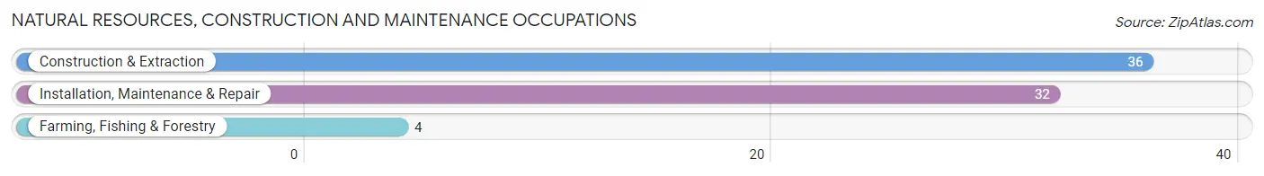 Natural Resources, Construction and Maintenance Occupations in Woodstock