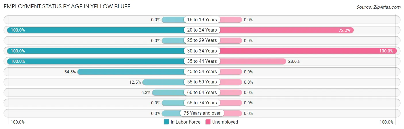 Employment Status by Age in Yellow Bluff
