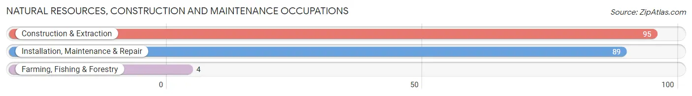 Natural Resources, Construction and Maintenance Occupations in York