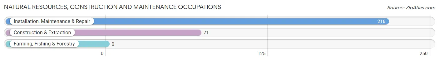 Natural Resources, Construction and Maintenance Occupations in Alexander