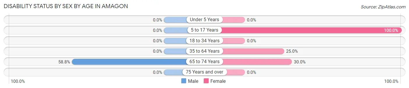Disability Status by Sex by Age in Amagon