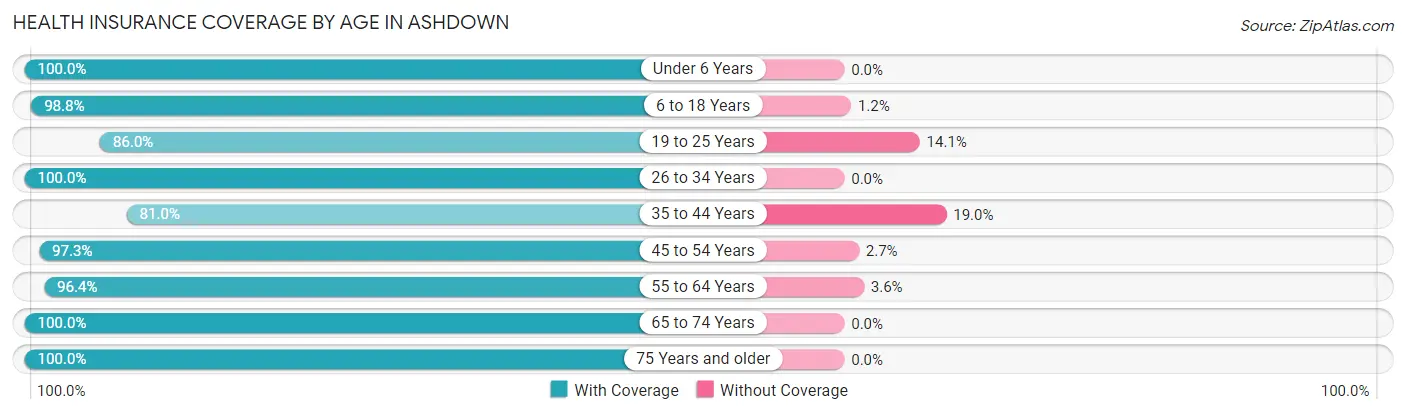 Health Insurance Coverage by Age in Ashdown