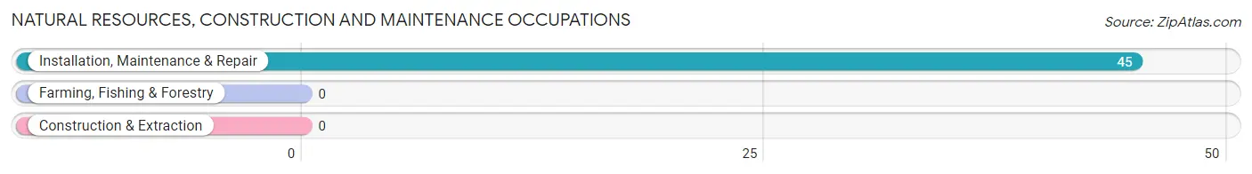 Natural Resources, Construction and Maintenance Occupations in Augusta