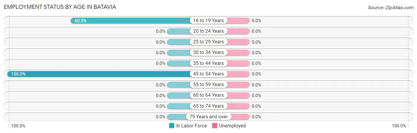 Employment Status by Age in Batavia