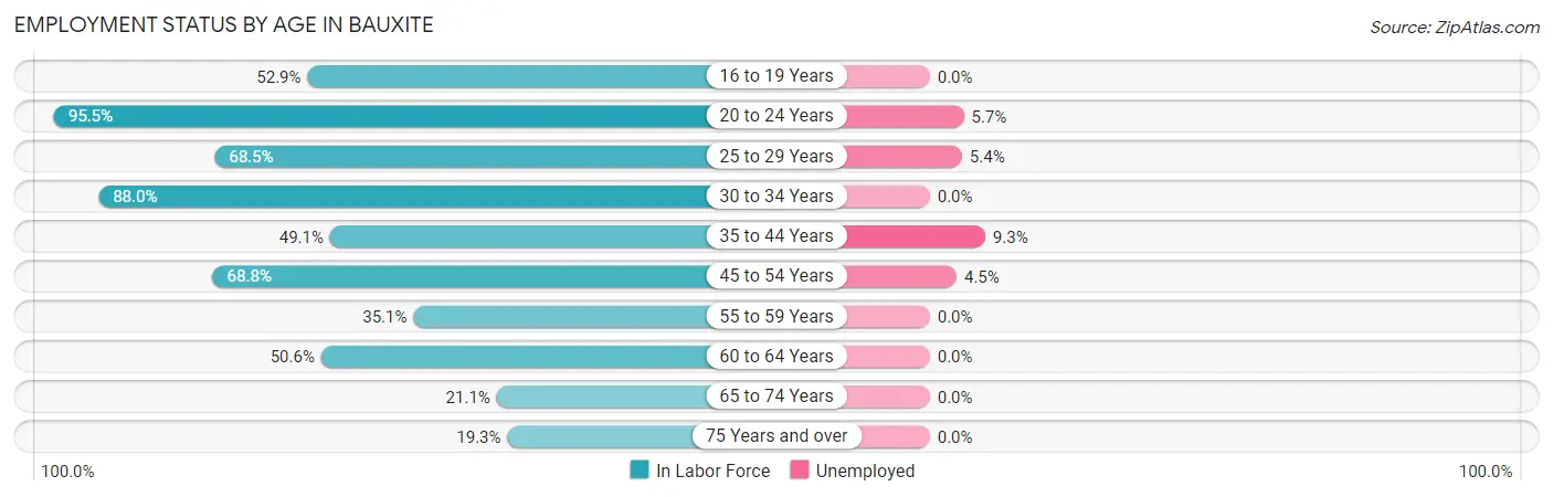 Employment Status by Age in Bauxite