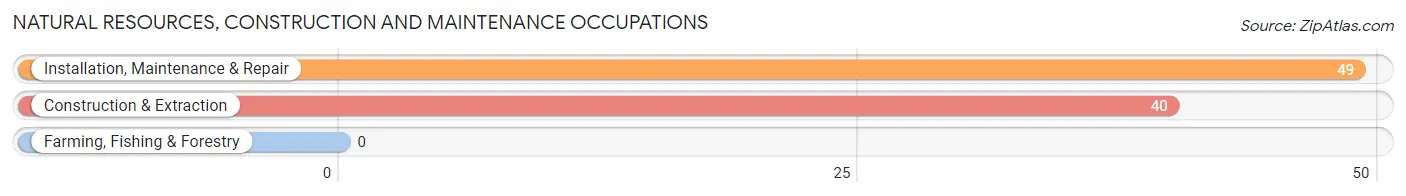 Natural Resources, Construction and Maintenance Occupations in Bay