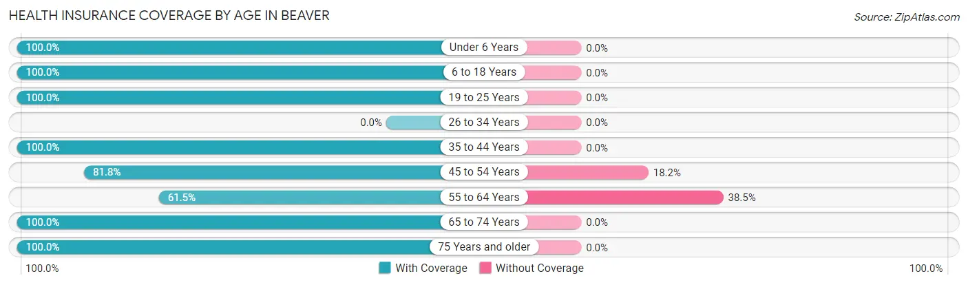 Health Insurance Coverage by Age in Beaver