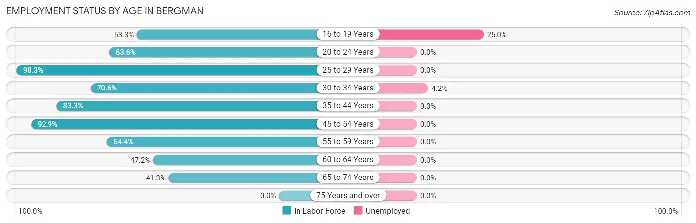 Employment Status by Age in Bergman