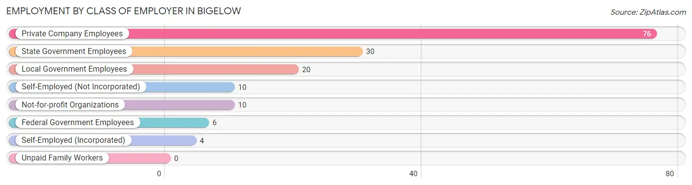 Employment by Class of Employer in Bigelow