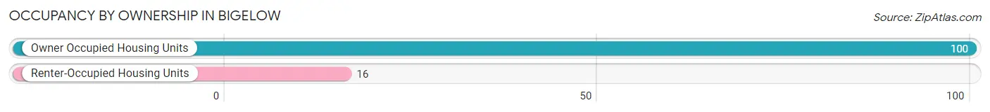 Occupancy by Ownership in Bigelow