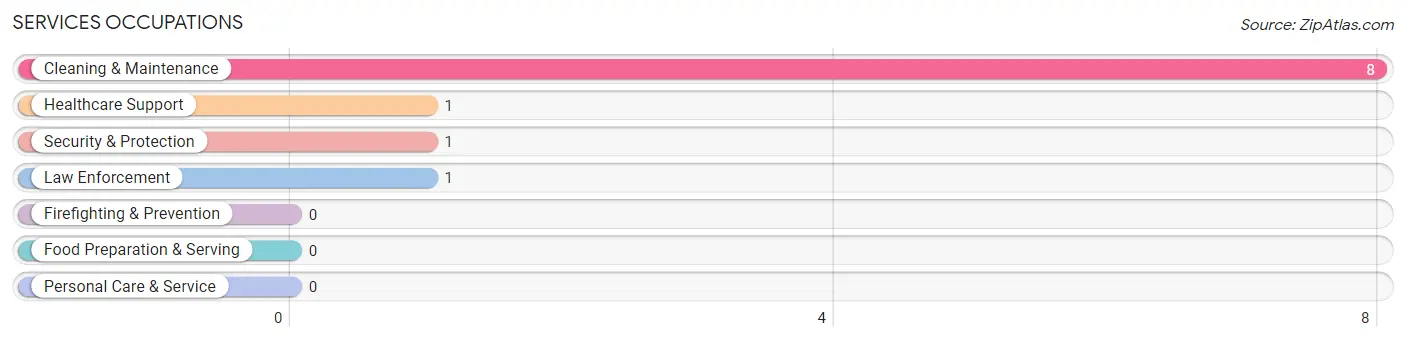 Services Occupations in Bigelow