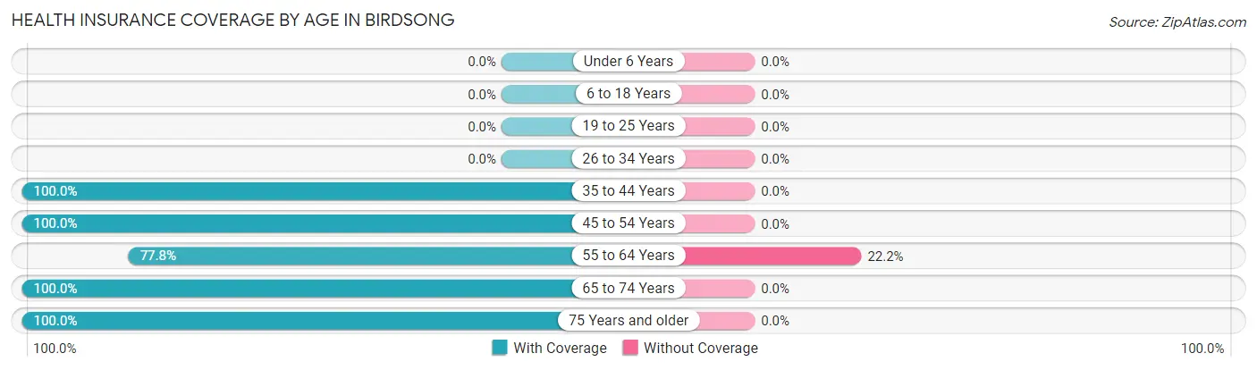 Health Insurance Coverage by Age in Birdsong