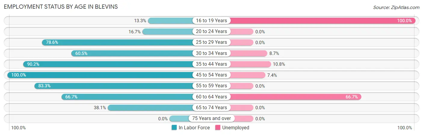 Employment Status by Age in Blevins