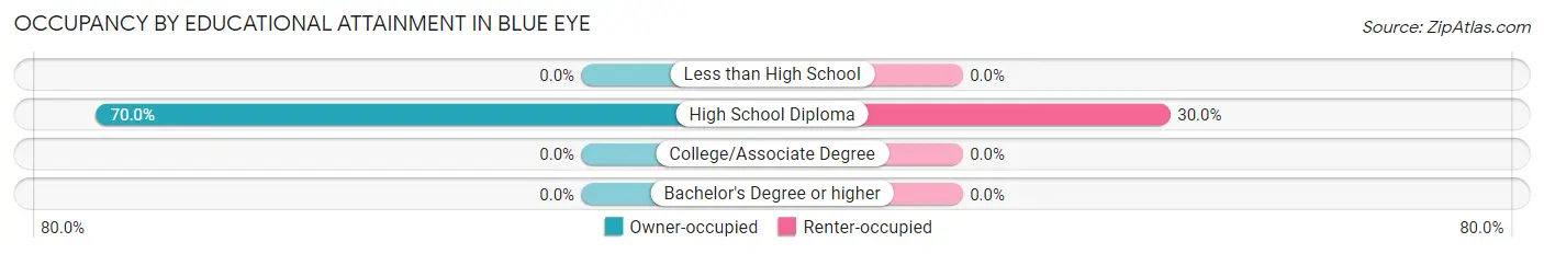 Occupancy by Educational Attainment in Blue Eye