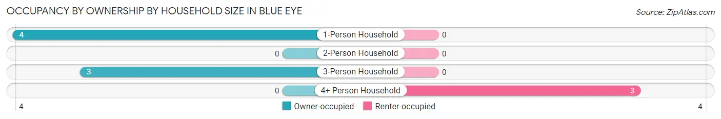 Occupancy by Ownership by Household Size in Blue Eye