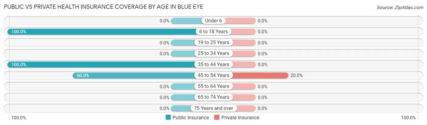 Public vs Private Health Insurance Coverage by Age in Blue Eye