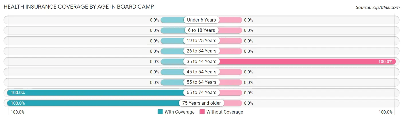 Health Insurance Coverage by Age in Board Camp
