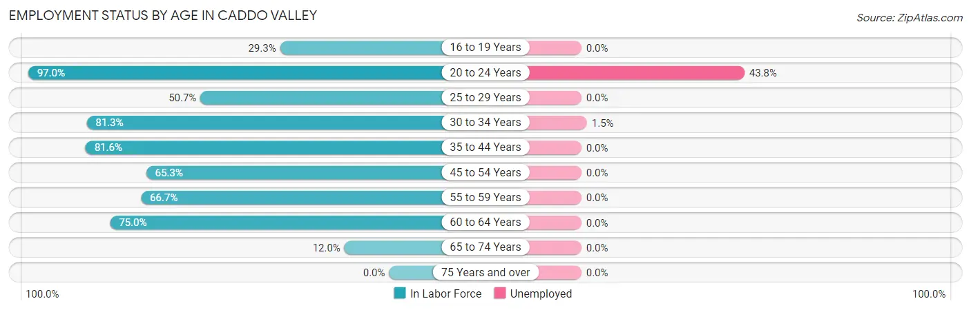 Employment Status by Age in Caddo Valley