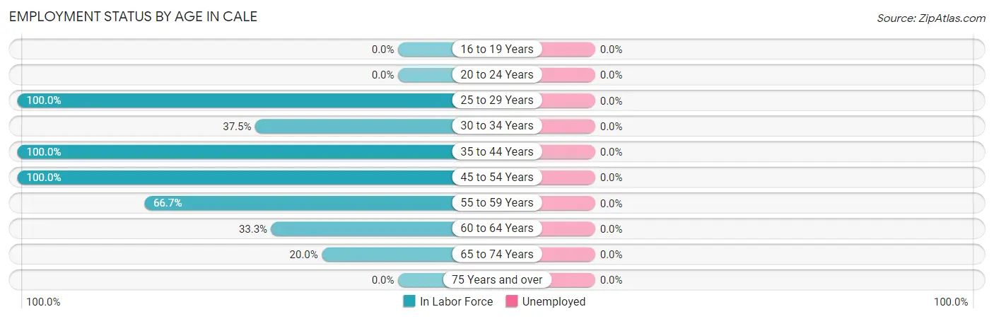 Employment Status by Age in Cale