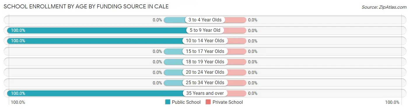 School Enrollment by Age by Funding Source in Cale