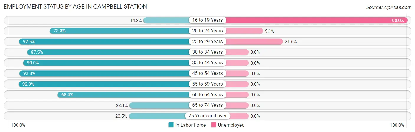 Employment Status by Age in Campbell Station