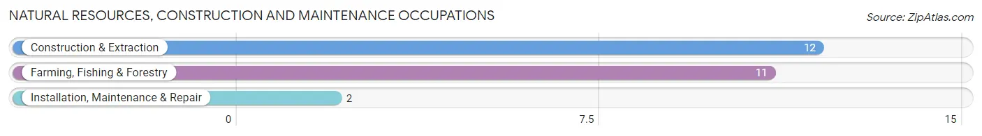 Natural Resources, Construction and Maintenance Occupations in Cherry Valley