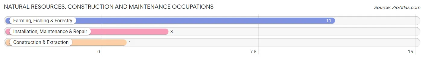 Natural Resources, Construction and Maintenance Occupations in Chidester